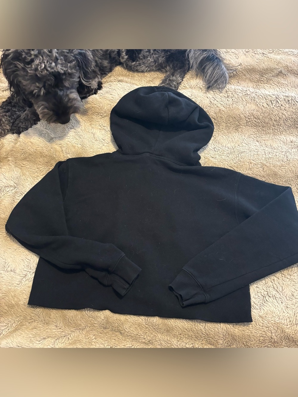 Wild Fable XS black cropped hoodie - Picture 4 of 6
